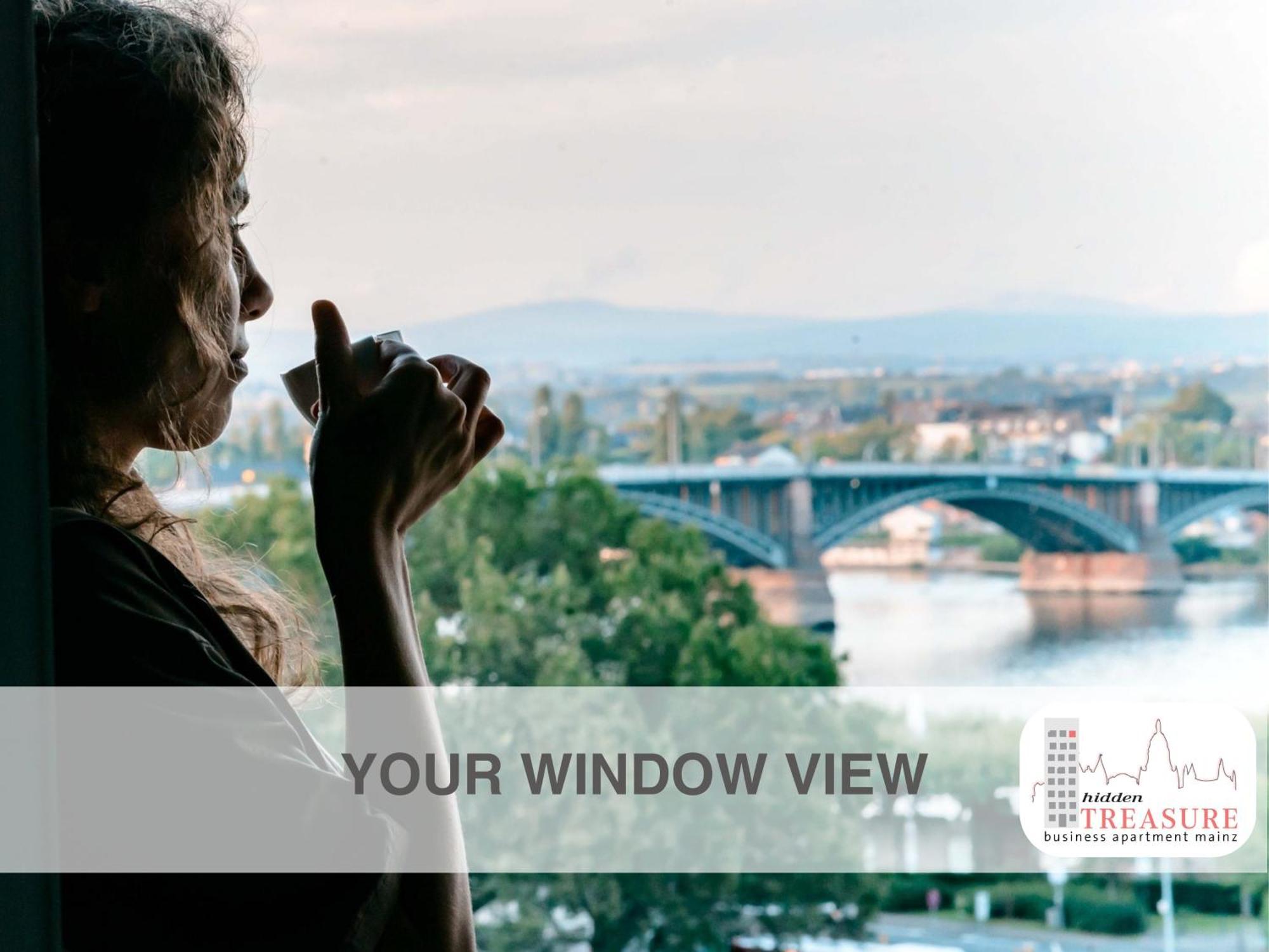 Hidden Treasure Business Apartment Mainz - Fantastic Rhine View In Center Of Mainz Old Town Dış mekan fotoğraf