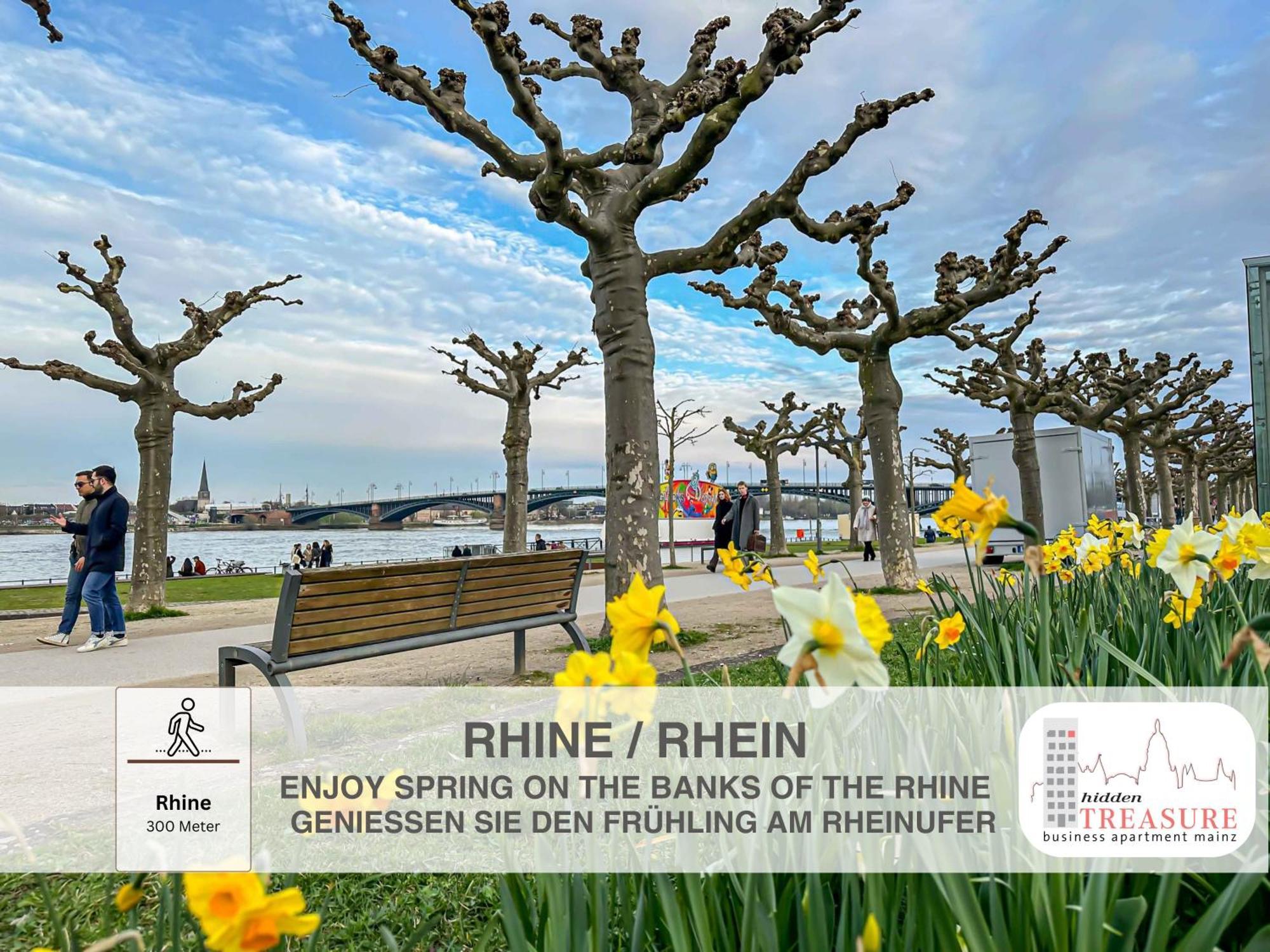 Hidden Treasure Business Apartment Mainz - Fantastic Rhine View In Center Of Mainz Old Town Dış mekan fotoğraf