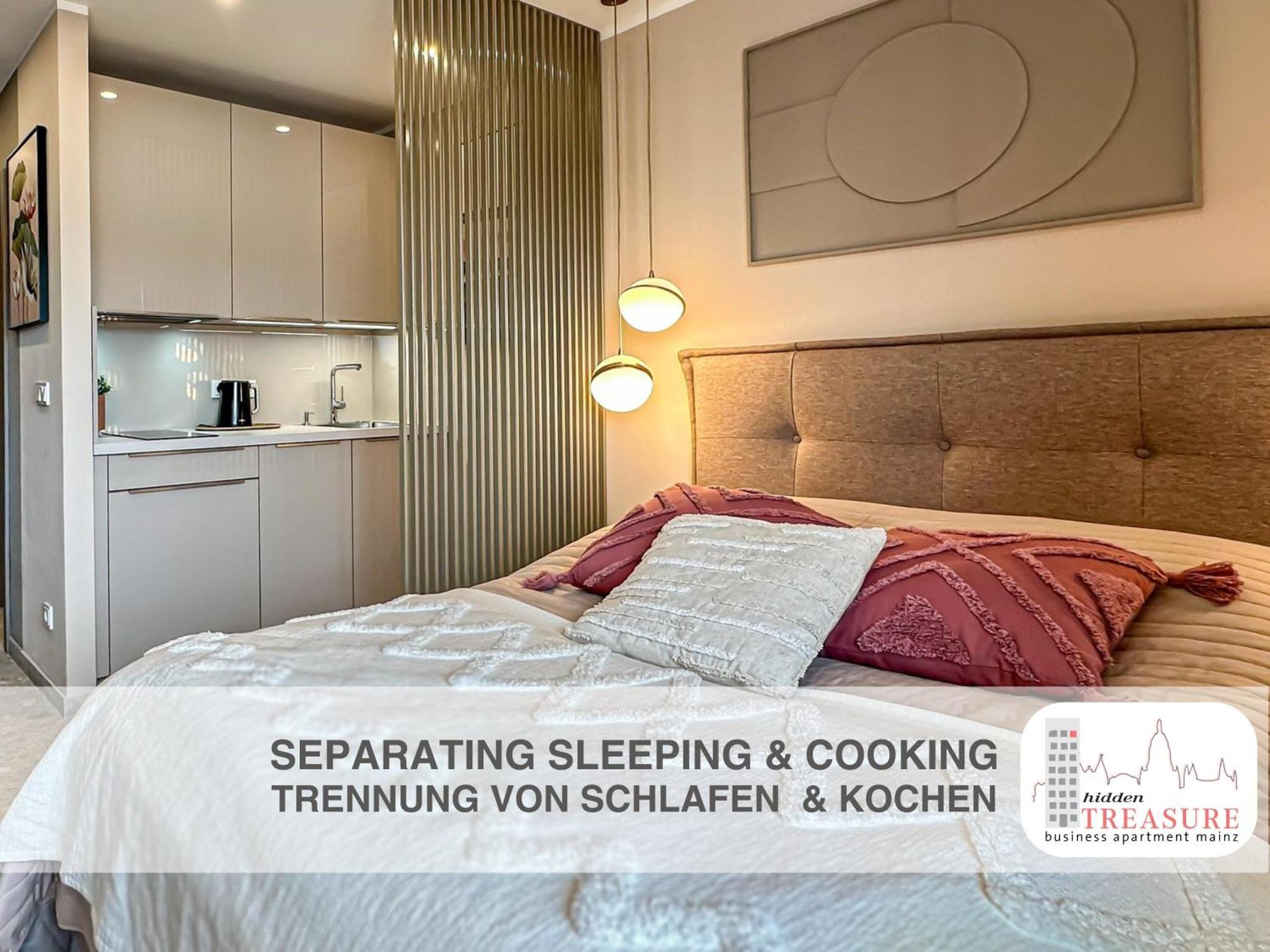 Hidden Treasure Business Apartment Mainz - Fantastic Rhine View In Center Of Mainz Old Town Dış mekan fotoğraf