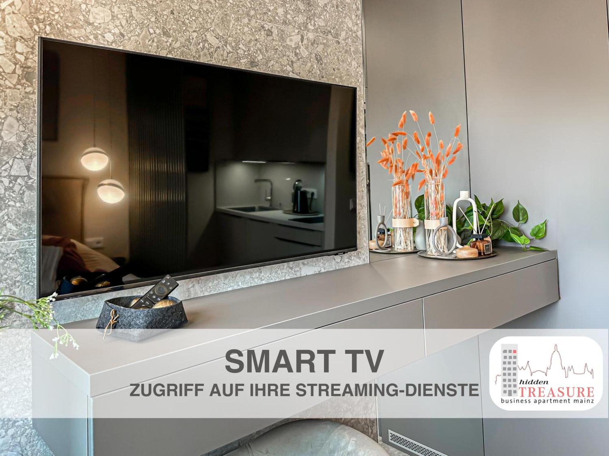 Hidden Treasure Business Apartment Mainz - Fantastic Rhine View In Center Of Mainz Old Town Dış mekan fotoğraf